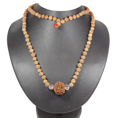 ShivaRatna 5 Mukhi Rudraksha