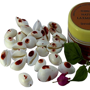 ShivaRatna Energized Natural Laxmi Kaudi - 21 Pieces (for Wealth Attraction)